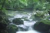 MP900438990.JPG