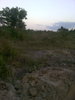 IMG_20150809_182644.jpg