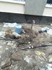 IMG_20170322_133446.jpeg
