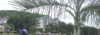 Screenshot_2018-01-09-23-17-19-1.png