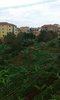20181012_133420.jpg