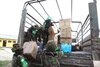 SI.-SITREP-2-1-768x512.jpg