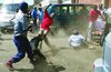 zimbabwe-police(1).jpg