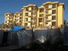tapatalk_1656490880475.jpg