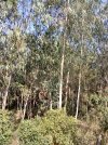 IMG_20220707_094819_139.jpg