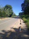 IMG_20220326_093850_338.jpg