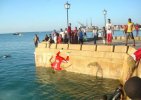 IMG-20220814-WA0011.jpg