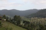 IMG_8382.jpg