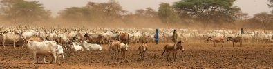 Senegal_webbanner.jpg