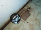IMG_20220918_144550.jpg