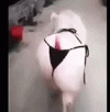 F6F5D194-28C2-4060-BD2A-771ABD00FCC7.gif