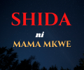 shida.png