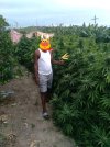 FB_IMG_1676140430254_1.jpg