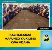 FB_IMG_1679744821522.jpg