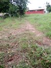 IMG_20230324_133645_571.jpg