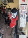 PXL_20230303_081020630.jpg