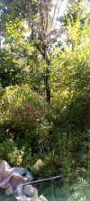 IMG_20230401_085516_0.jpg