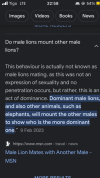 E71B629B-D87F-49D5-9D8B-11EDB6A03AA9.png