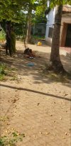 Screenshot_20230624-181629_Video Player.jpg