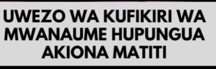 1683971101143.png