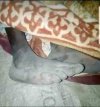 FB_IMG_1692991981931.jpg