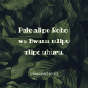 1699765878861.png