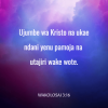 1700794711472.png