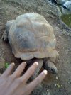 IMG_20240119_064945_066.jpg