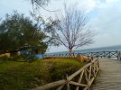 IMG_20240119_065421_260.jpg