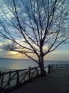 IMG_20240119_065333_851.jpg