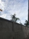 371D75DB-D6B4-4AC1-B7C0-0849CB1299CF.jpeg