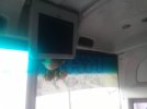 IMG-20240123-WA0021.jpg