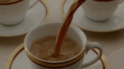 giphy (1).gif