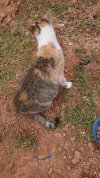 DSC_0099.JPG