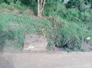 IMG-20240413-WA0019.jpg