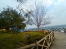 IMG_20240119_065421_260.jpg