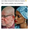 FB_IMG_1713876117649.jpg