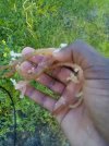 IMG_20240511_074819_787.jpg
