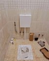 IMG_20240513_194221_589.jpg