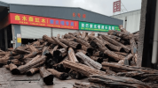 d7289260-1287-11ef-bee9-6125e244a4cd.png