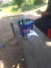IMG_20240518_122343_557.jpg