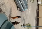 Screenshot_20240610-001928.png