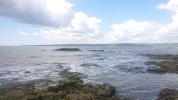 DSC_0336.JPG