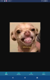 1000036006.png