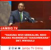 Wizi Mtupu.jpg