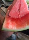 20240801_121327.jpg
