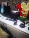 IMG_20240820_181434.jpg