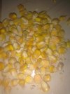 IMG_20240823_193136.jpg