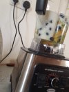 20240908_123339.jpg
