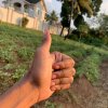 IMG_3370.jpeg